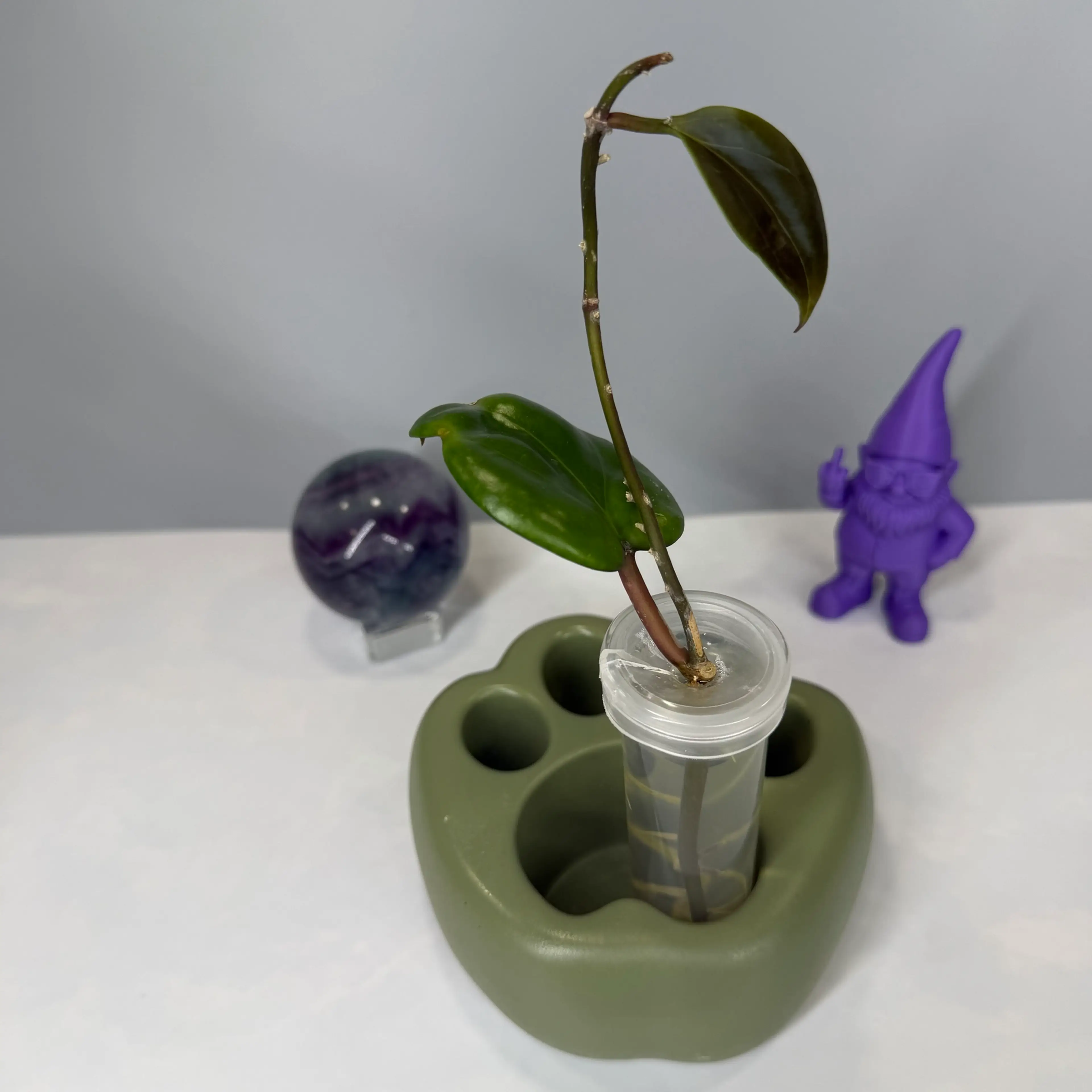 Image 3 of 3