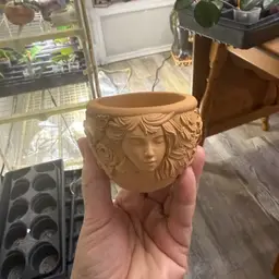 Venus Pot