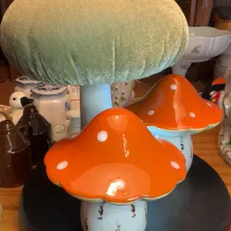 Mushroom Bundle