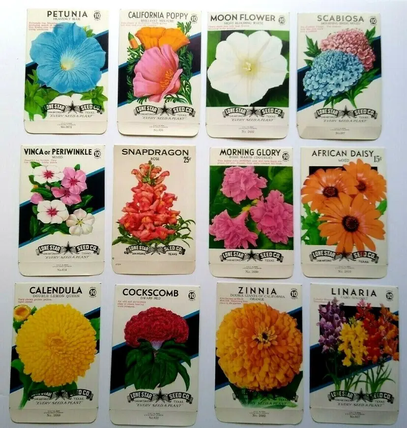 Vintage 1950s Flower Seed Packs EMPTY Lot Of 12 Petunia Poppy Moon African Daisy