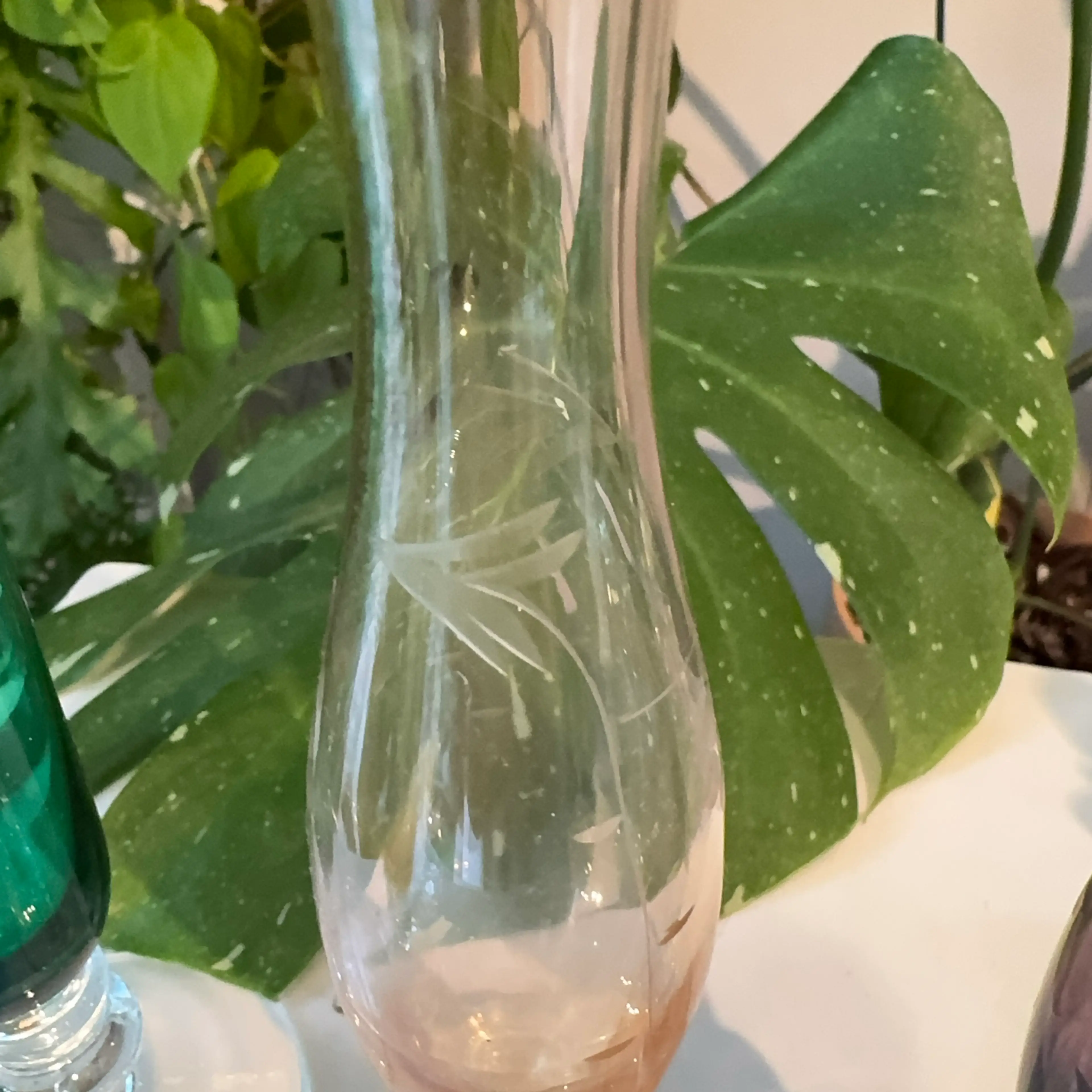 Image 4 of 5