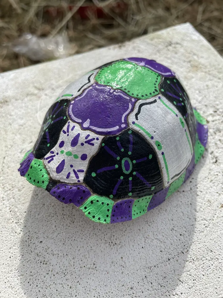 Hand Painted Turtle Shell Beetlejuice Colors OOAK