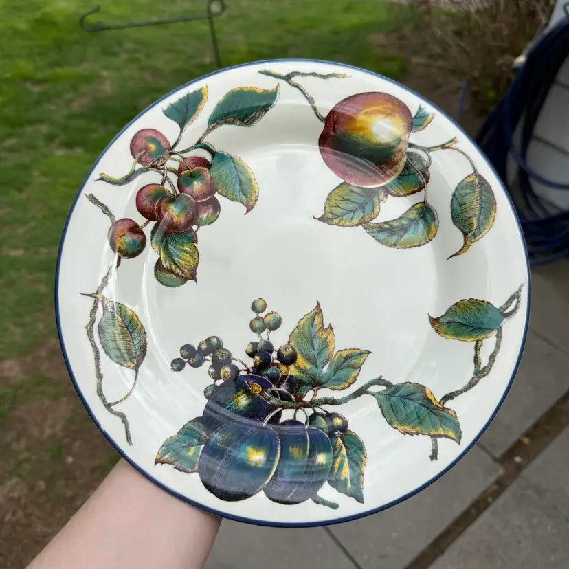 Pier 1 Macintosh Earthenware Fruit Decorative Plate Wall 10” Farmhouse Country