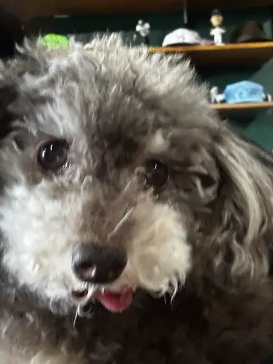 Maci & Matt Jewelry Show 