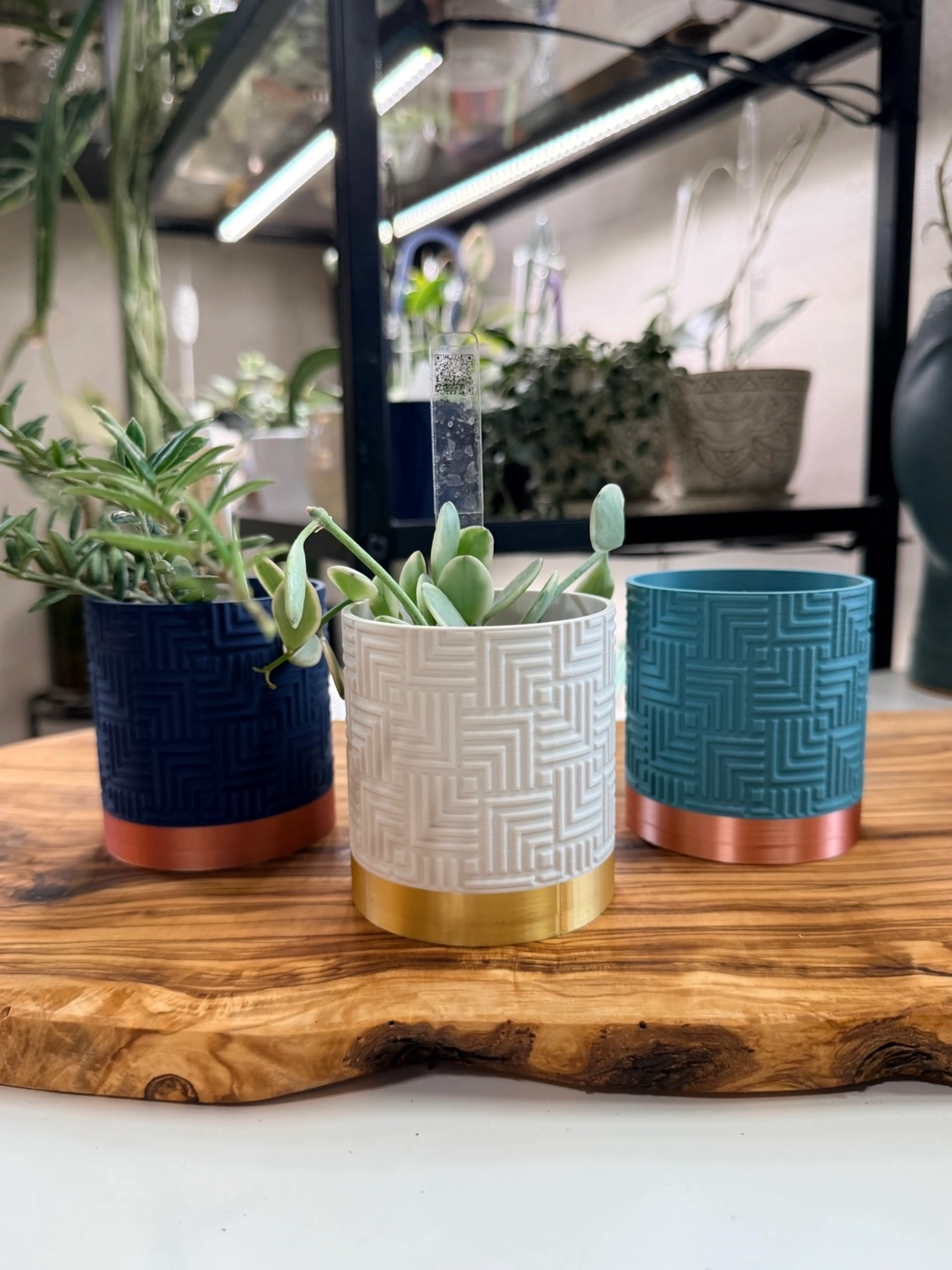 Image 1 of 6