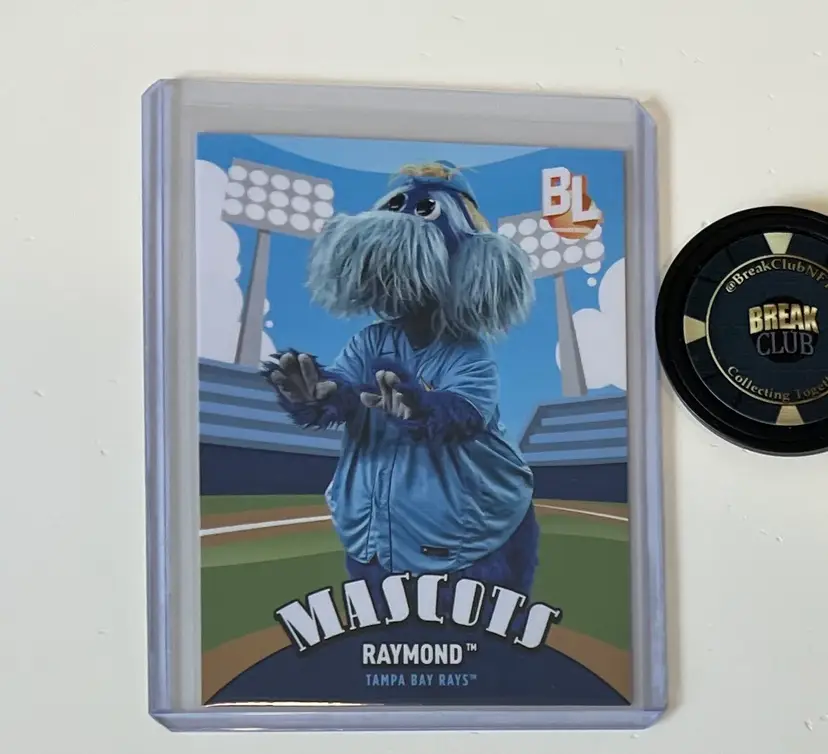 Raymond Mascot Tampa Bay Rays