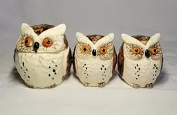 Vintage 1980 Enesco Owl Salt & Pepper Shakers with Sugar Holder Japan - Cute! 🦉