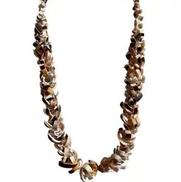 Unique Shell Necklace
