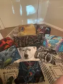 sold_out_treasures89