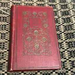 Antique Point Lace And Diamonds With Illustrations Dated 1894