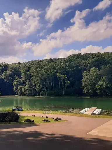 Store shrinkage: Cameras,toys, glasses, electronics, games, more