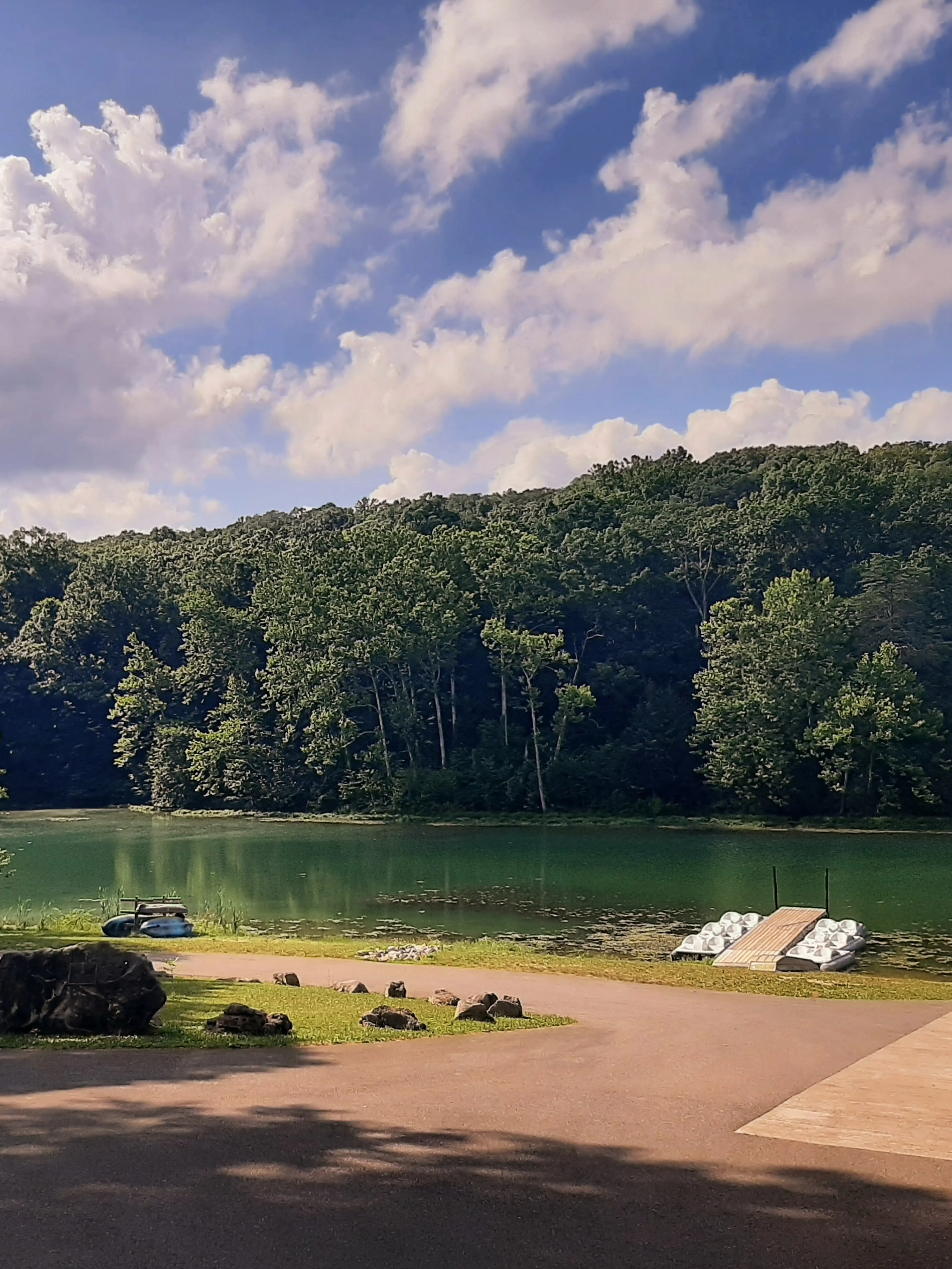 Store shrinkage, toys, glasses, electronics, games, more