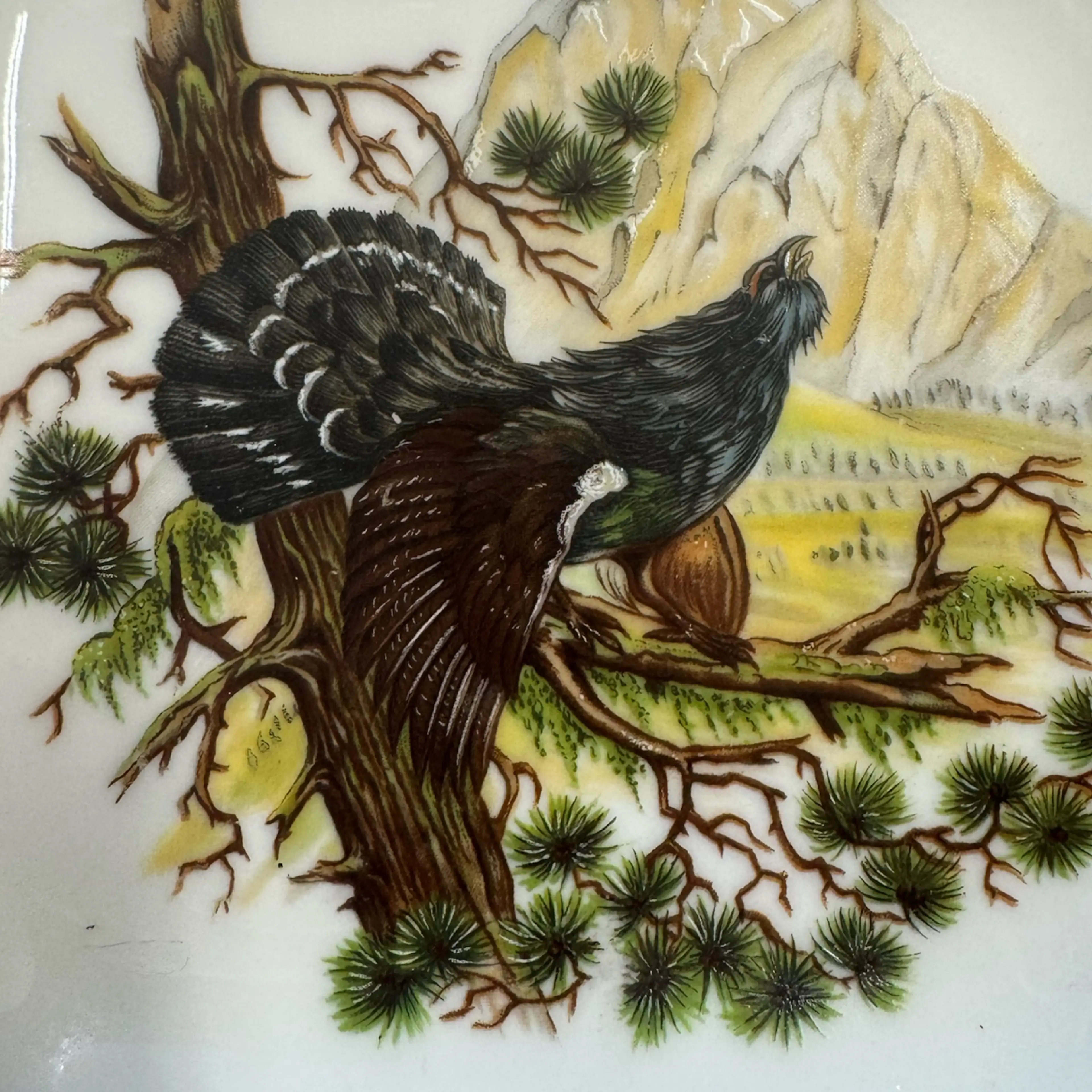 Image 2 of 3