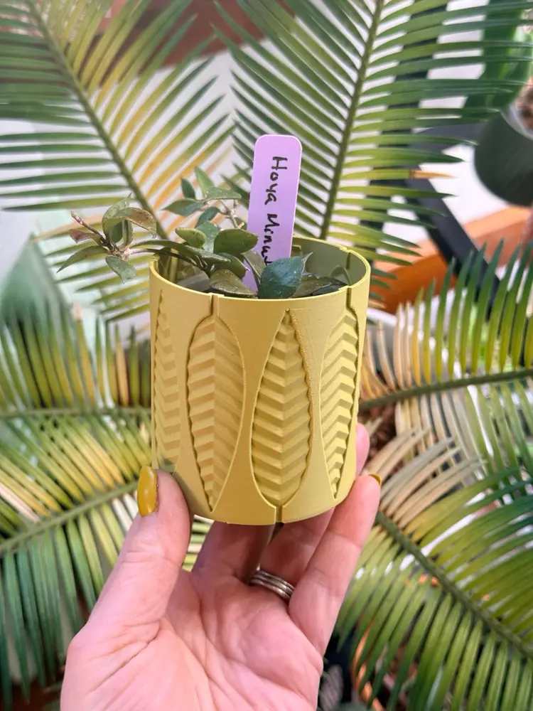 Plant Cover Pot - Leaf Embossed - 2.5” x 2.75” Inner