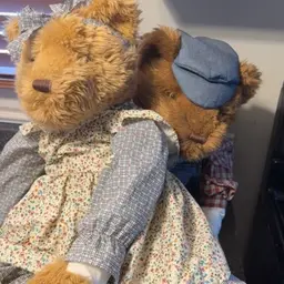 Pair Of Big Bear Friends