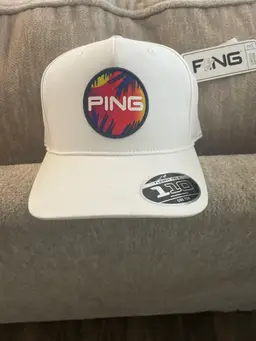 Ping SnapBack