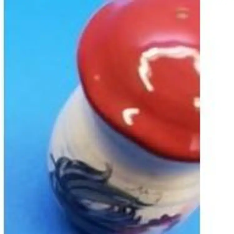 CIC Susan Winget Le Rooster Salt & Pepper Shakers and Spice Shaker