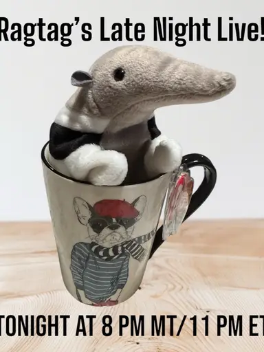 Ragtag’s First Late Night Live!