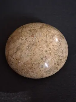 Natural Polished Stone Paperweight