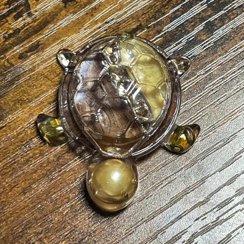 Sandy "Treasure Turtles"