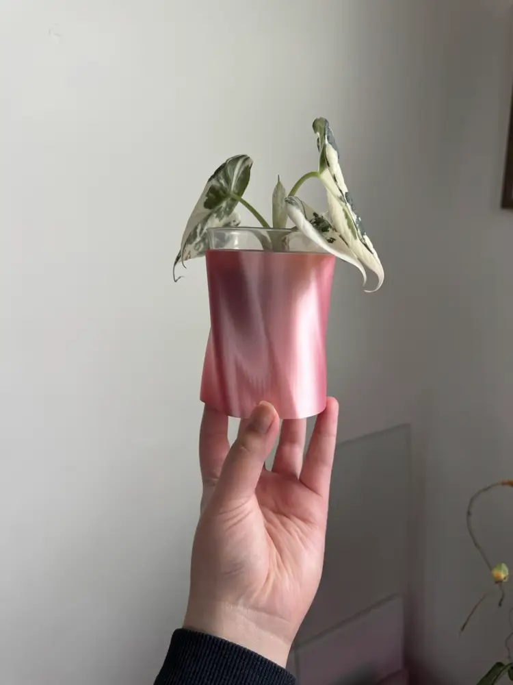 PoT03 self watering set