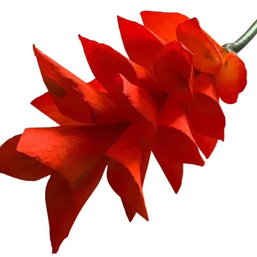 Handcrafted Orange Crepe Paper Flowers Super UV Reactive Made By Me Blossom Is 7” Long By 4” Diameter