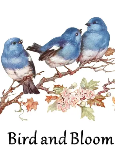 Color Holdovers & More w/BirdandBloom