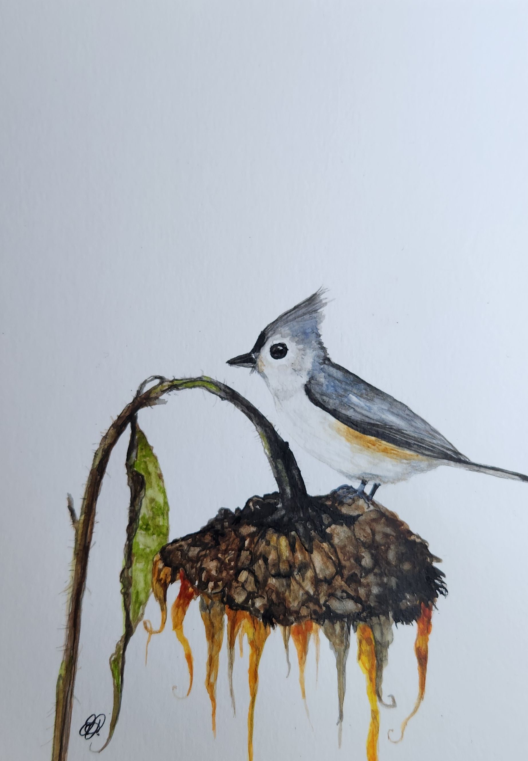 Niknax · Yellow-Headed Blackbird Original Watercolor Painting