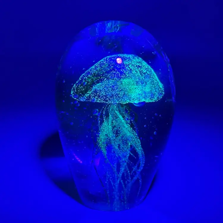 Dynasty Gallery Jellyfish Blue & Green Paperweight UV Reactive GLOW IN THE DARK