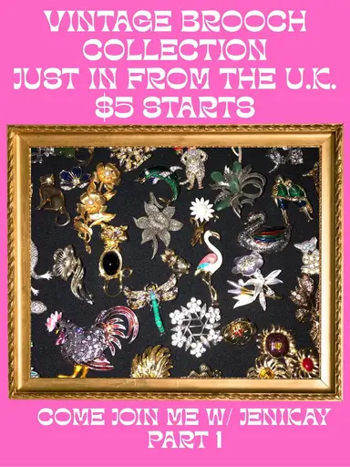 Just In From The U.K. Vintage Brooches With Jenikay