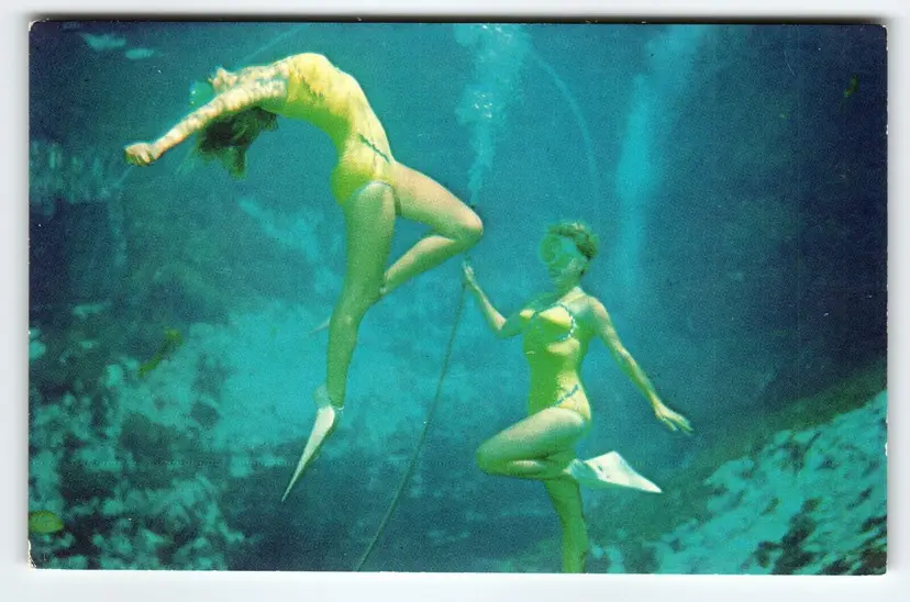 Weeki Wachee Mermaids Florida Postcard Women Perform Underwater Chrome Unused