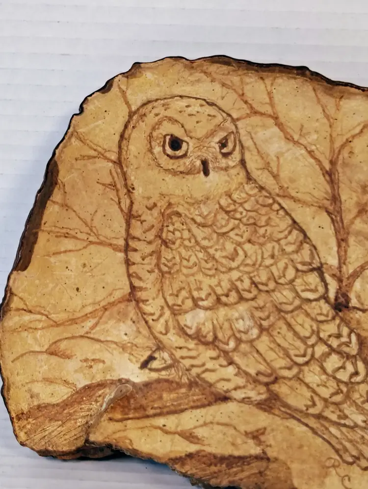 Folk Art Pyrography Owl Fungus Conk Shelf Mushroom Signed