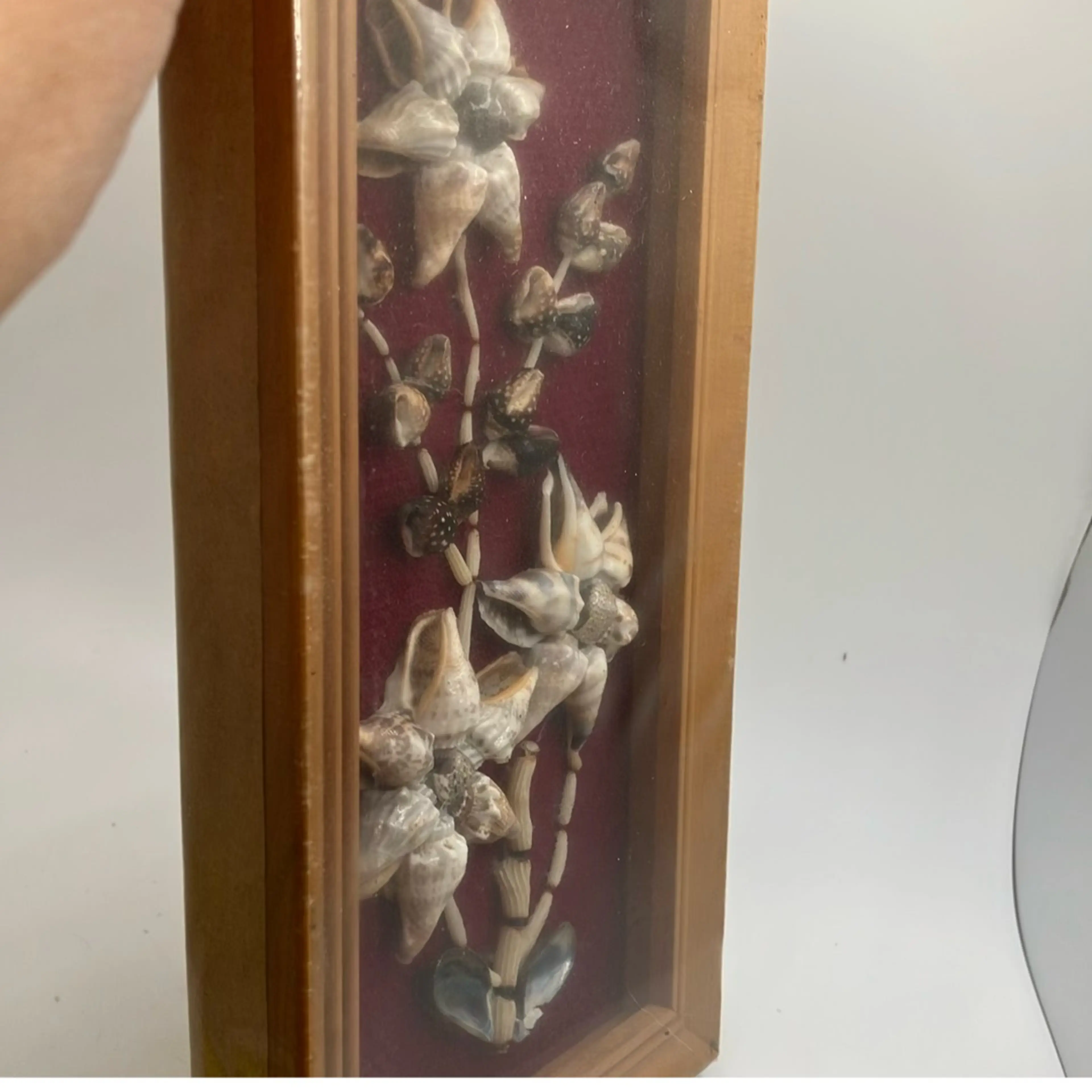 Image 2 of 5