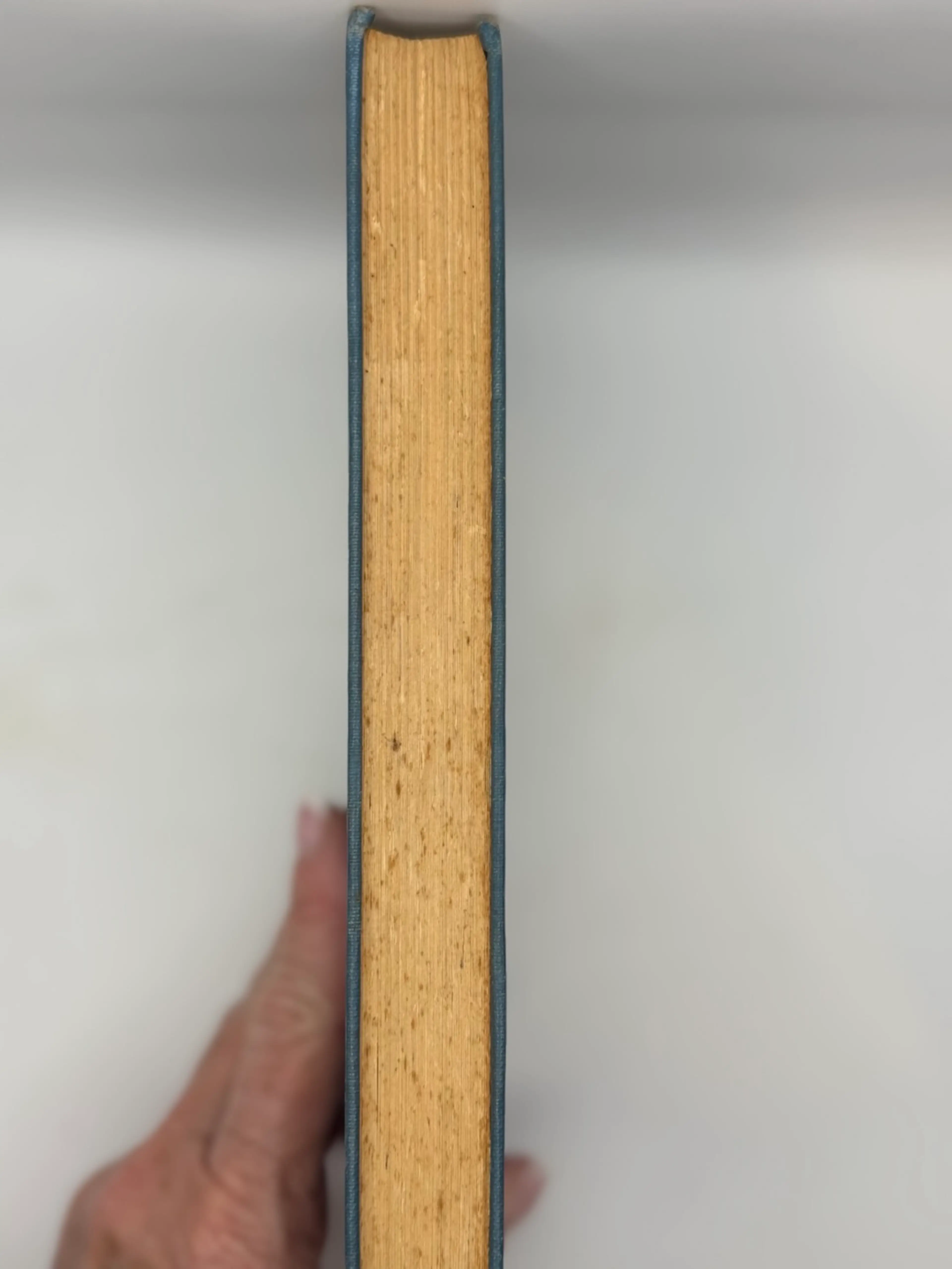 Image 4 of 7