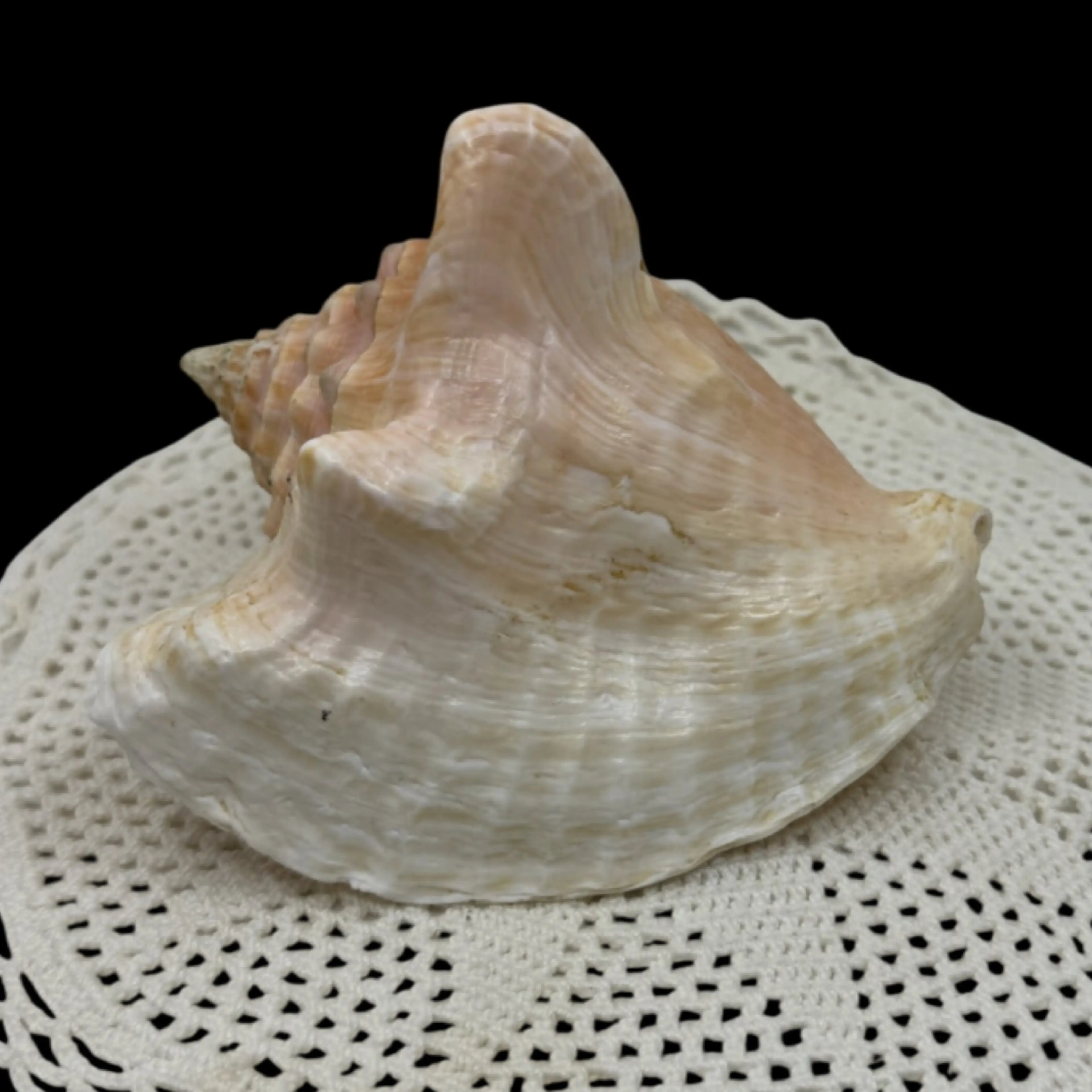 Image 3 of 4