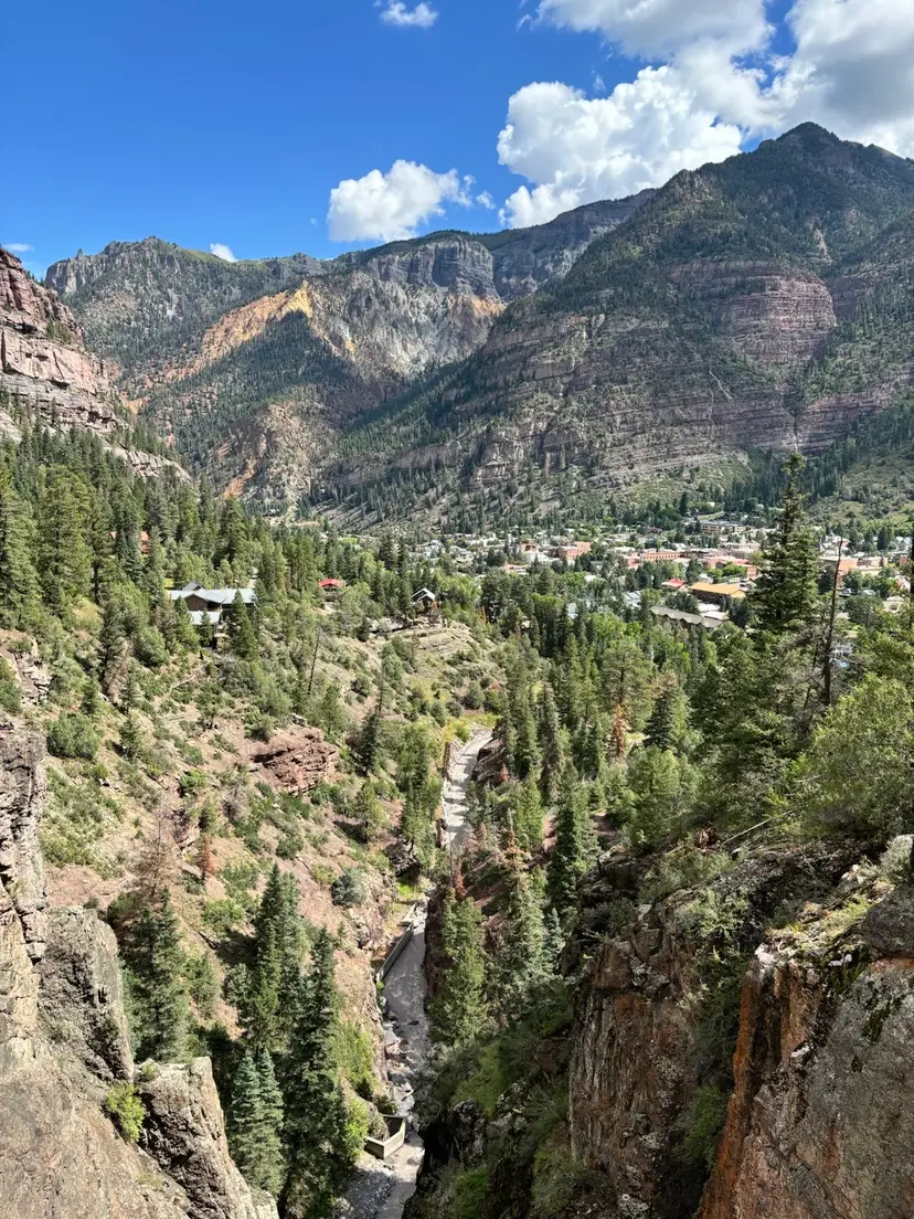 Livestream thumbnail