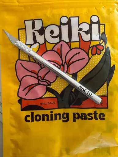 Kiki Paste, Will It Work?