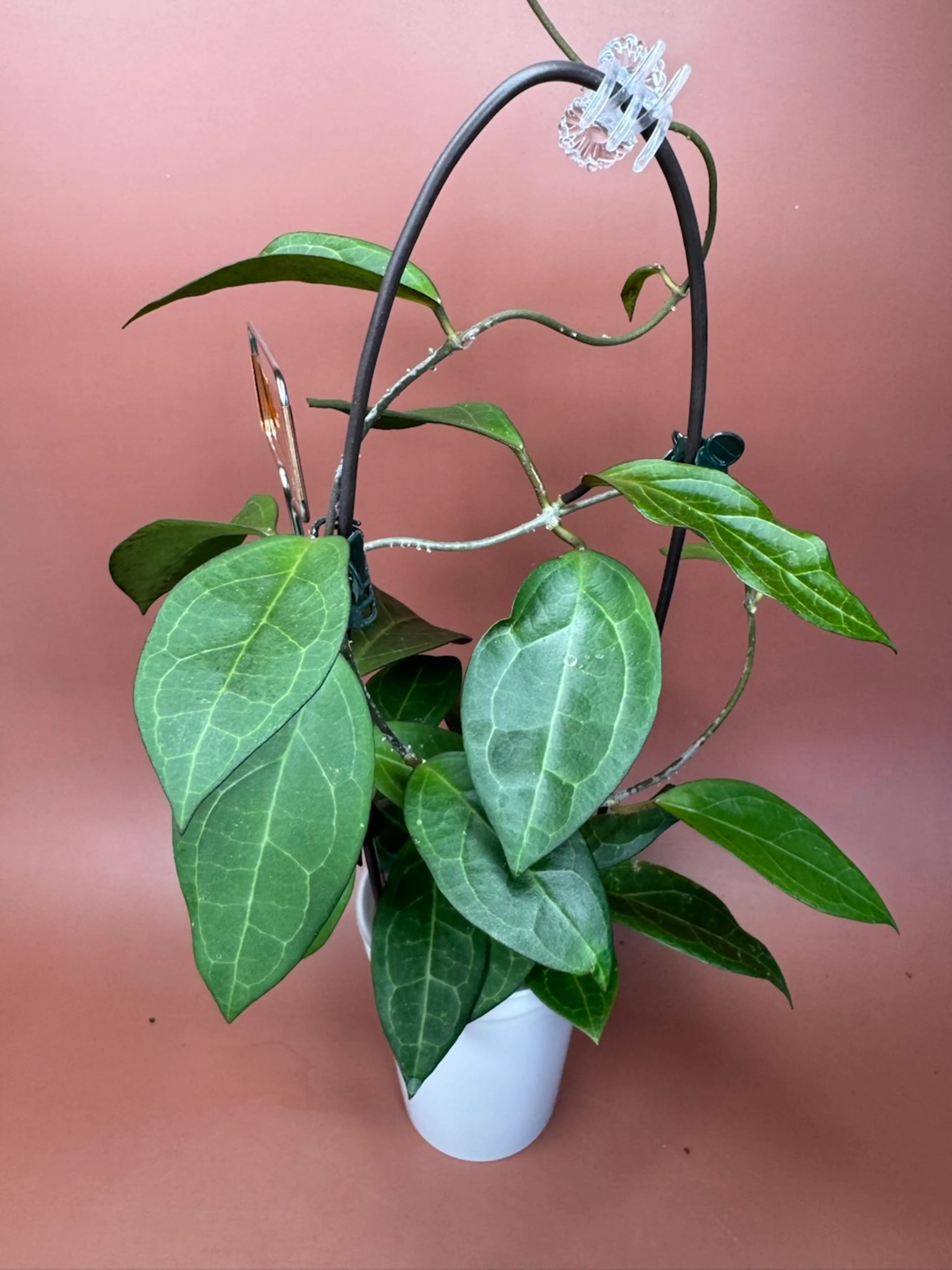 Image 3 of 3