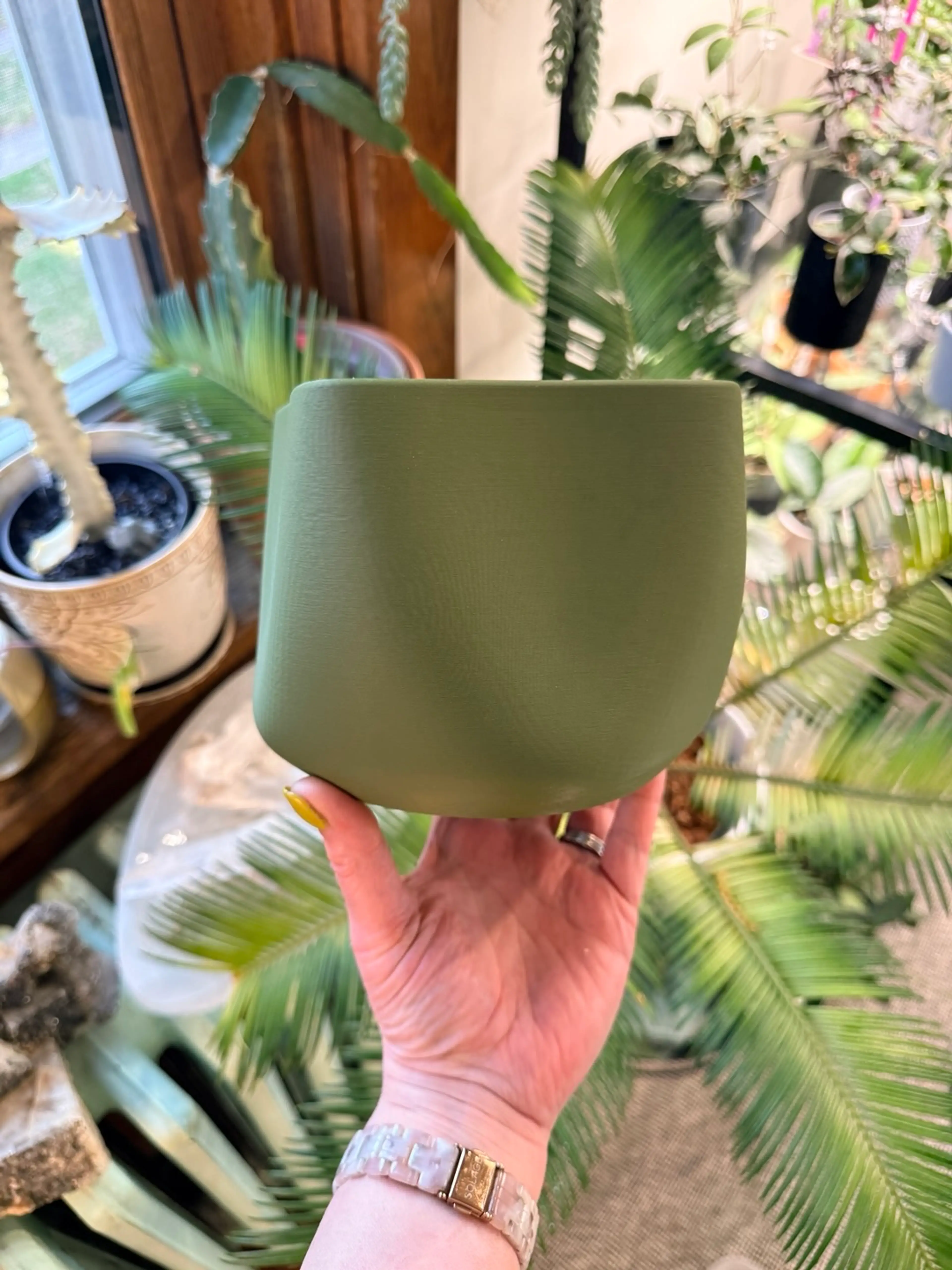 Image 3 of 17