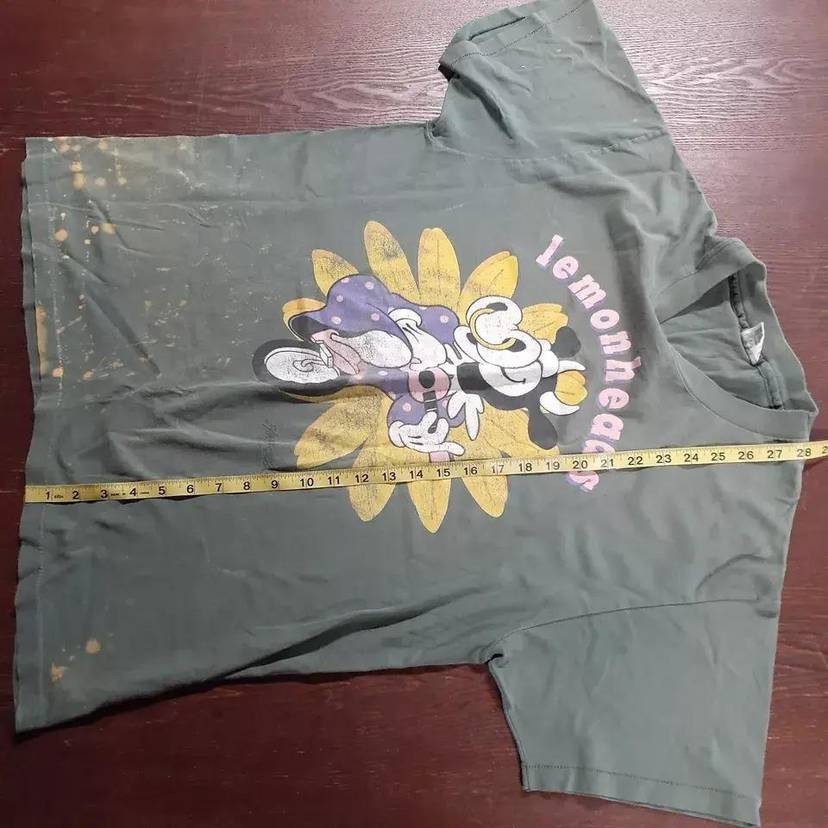 vintage t-shirt 1992 Lemonheads Green Cow Evan Dando Anvil XL 