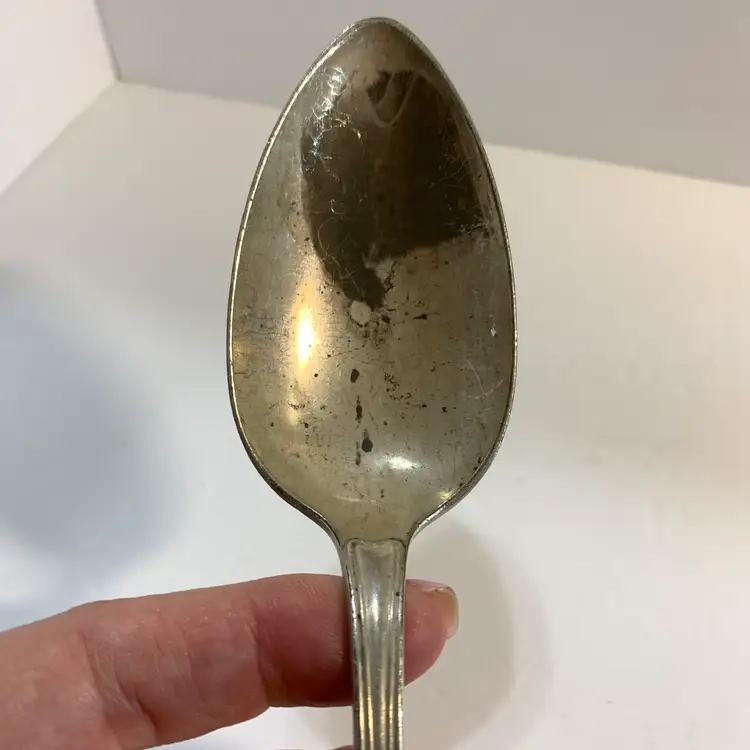 Silver Plate Serving Spoon