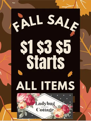 ✨️CLEARANCE SALE✨️ $1,$3,$5