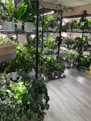 Hoyas For Daysssssss