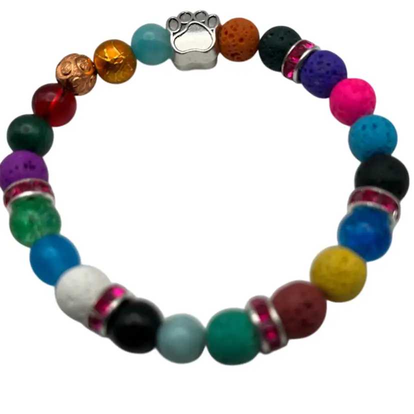 Rainbow Bridge Pet Bracelet