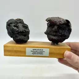 Vintage Unique Applefolk Dried Apple Heads Tasmania Australia Souvenir