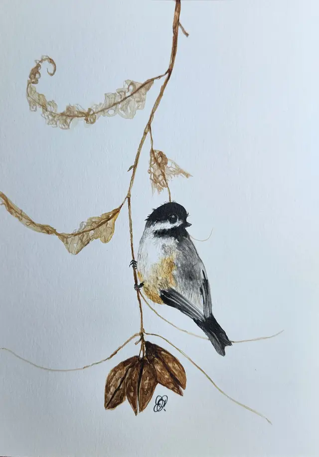 Carolina Chickadee Original Watercolor Painting Signed By The Artist 5x7
