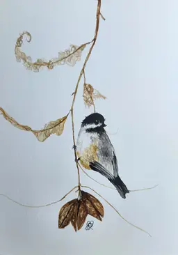Carolina Chickadee Original Watercolor Painting Signed By The Artist 5x7