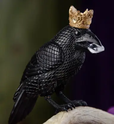The Common Raven