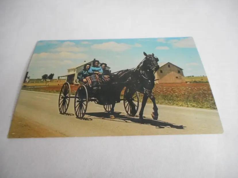 Vintage Postcard Amish buggy Girls Lancaster Pennsylvania Dutch Amish country