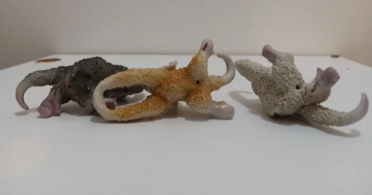 RARE Hanging Sugared Monkeys set